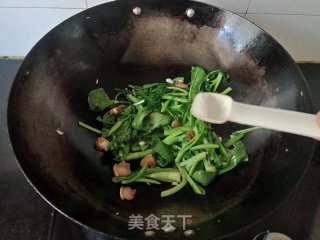猪油渣炒菜心步骤6