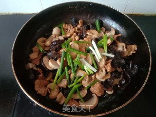 口蘑黑木耳炒肉片步骤9