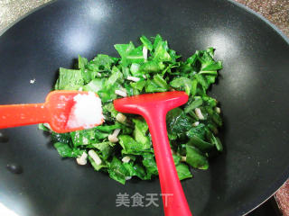 海鲜菇炒油麦菜步骤8