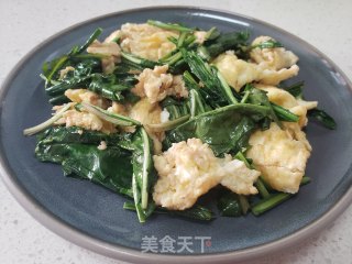 蒲公英炒鸡蛋步骤5
