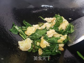 蒲公英炒鸡蛋步骤4