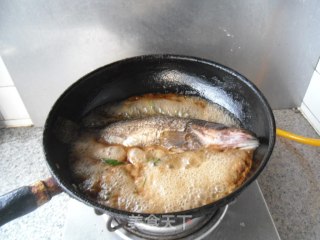 清炖鳌花鱼步骤7