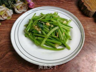 蒜香番薯叶梗步骤4