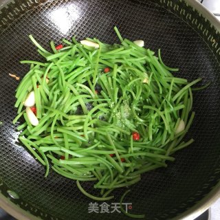 蒜炒红薯梗步骤4