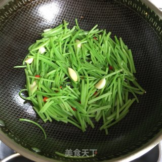 蒜炒红薯梗步骤5