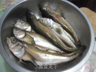 煎烧雷鱼步骤2