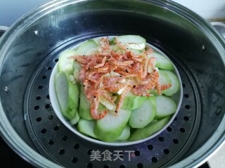 蒜茸鳞虾蒸丝瓜步骤5