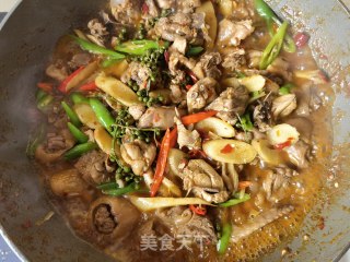 仔姜青花椒炒柴鸡步骤19