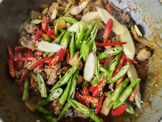 仔姜青花椒炒柴鸡步骤18