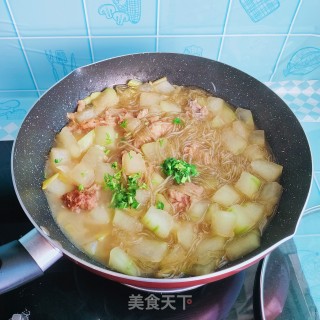 鸡块冬瓜炖粉条步骤12