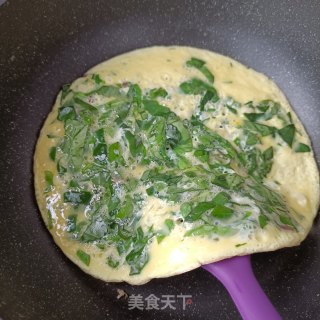 土人参煎蛋步骤9