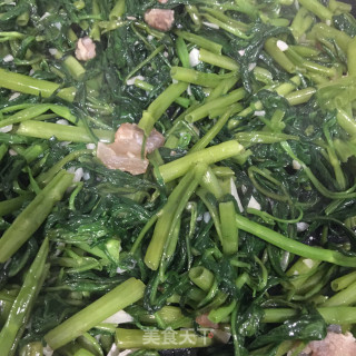 蒜蓉爆炒空心菜步骤7