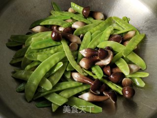 鸡枞菌炒荷兰豆步骤4