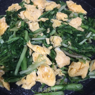 鸡蛋炒苦菊步骤5