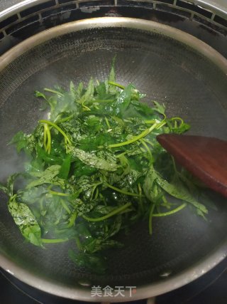 素炒红薯叶步骤3