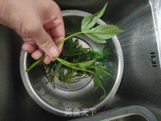 素炒红薯叶步骤1