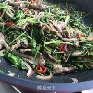 香菜炒牛里脊步骤9