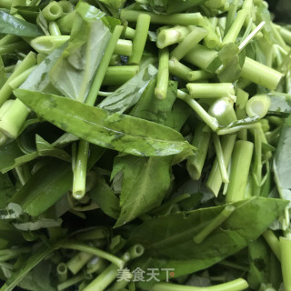 茶油炒空心菜步骤3