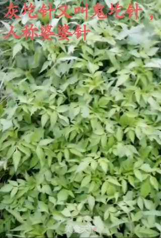 蒸灰圪针步骤1