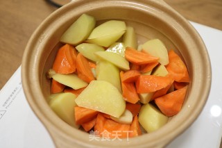 浓香入味的胡萝卜土豆焖鸭肉步骤10