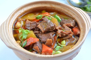 浓香入味的胡萝卜土豆焖鸭肉步骤17