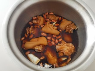 啤酒炖猪蹄步骤5