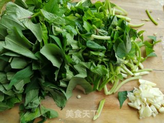 蒜香腐乳红薯叶步骤2