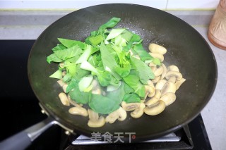 口蘑炒油菜步骤4