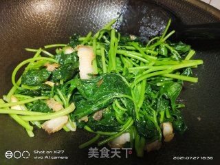 五花肉炒红薯叶步骤7