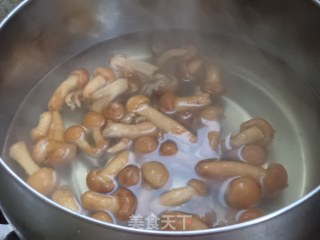 滑子菇小白菜烧丸子步骤4