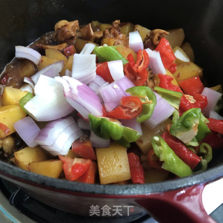 鸡腿红萝卜炖土豆步骤15