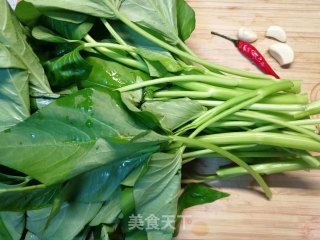 空心菜这样处理，炒出来碧绿嫩滑不发黑步骤1