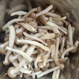 蟹味菇炒豆腐步骤4