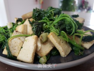 苋菜炒豆腐步骤7