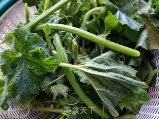上汤冬瓜苗步骤1
