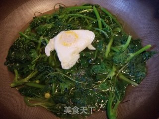 上汤冬瓜苗步骤5