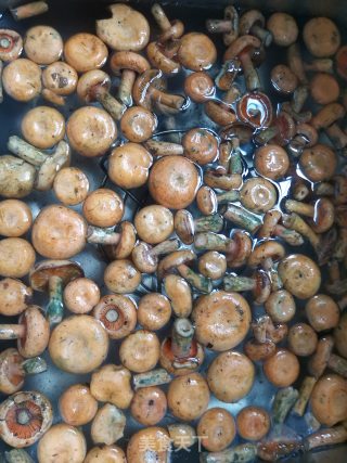 寒菌炖肉步骤1