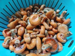 寒菌炖肉步骤2