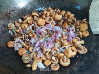 寒菌炖肉步骤7