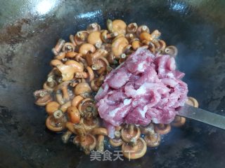 寒菌炖肉步骤6