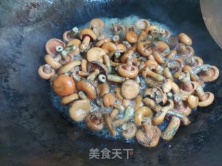 寒菌炖肉步骤5