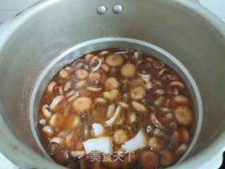 寒菌炖肉步骤10