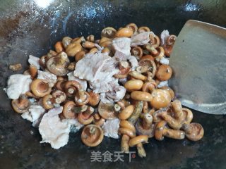 寒菌炖肉步骤8