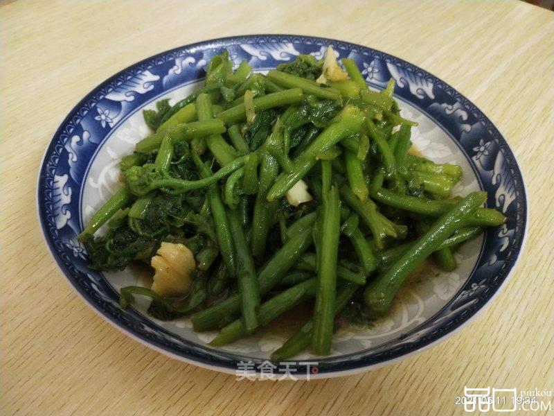 清炒南瓜苗