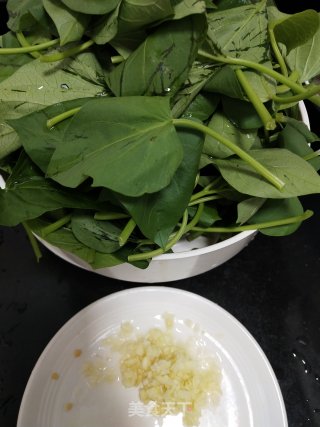 超级简单的家常菜蒜蓉炒番薯叶步骤1
