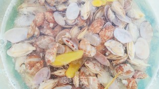 蒜蓉粉丝花蛤步骤6