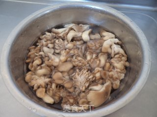 蚝油菊花菇  步骤1