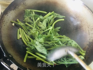 清炒南瓜尖步骤5