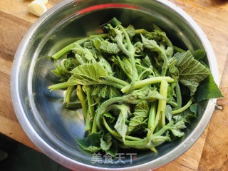 清炒南瓜尖步骤3