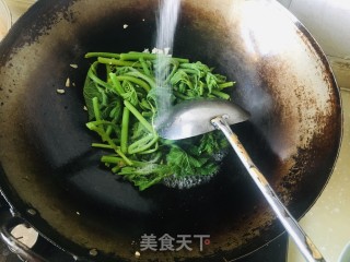 清炒南瓜尖步骤6
